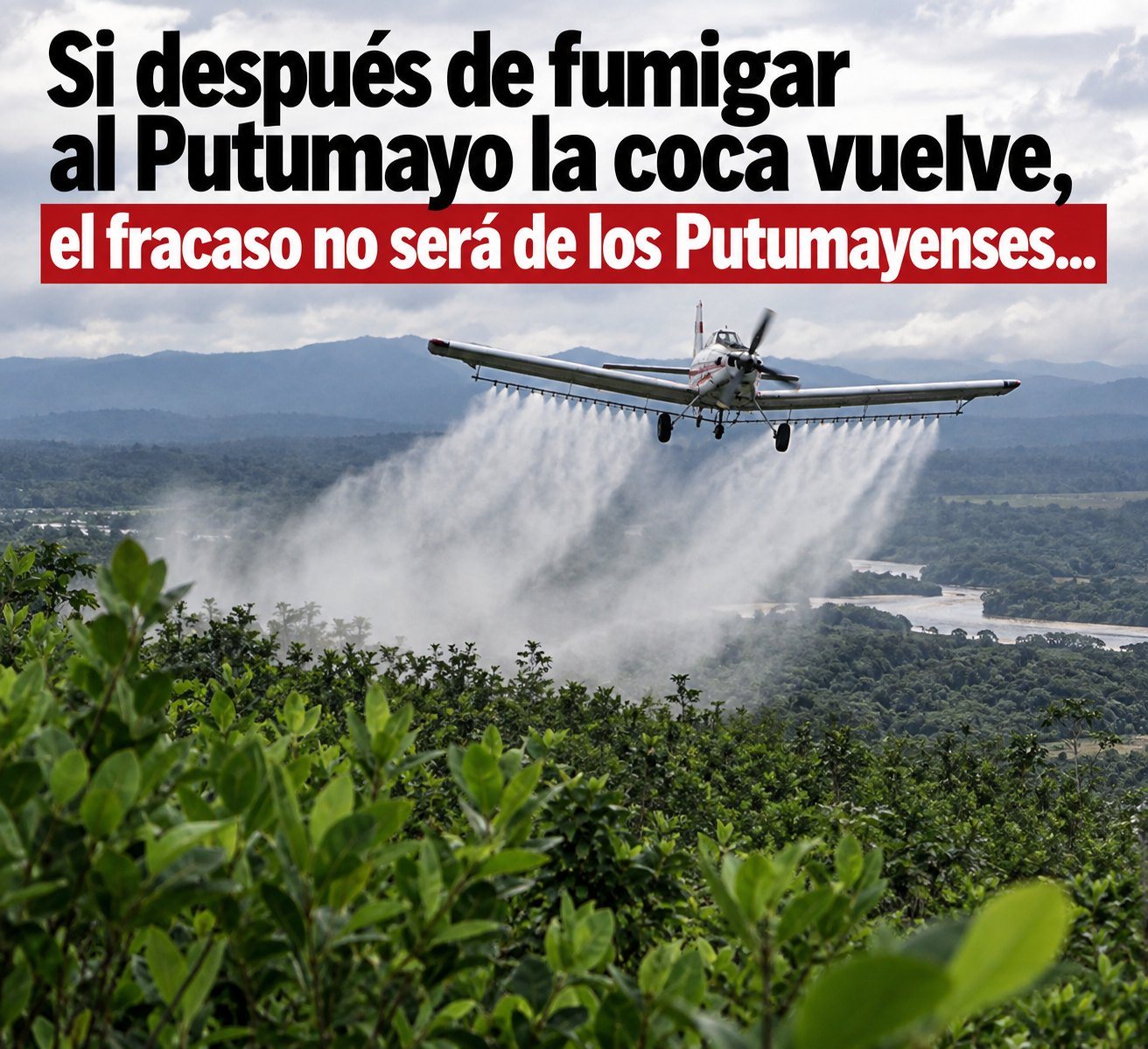 Si despues de fumigar al Putumayo la coca vuelve, el fracaso no será de los Putumayenses